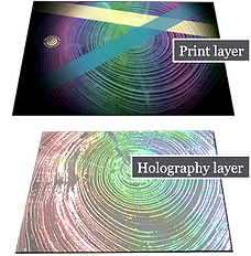 RegisteredHolography