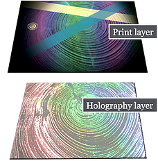 RegisteredHolography