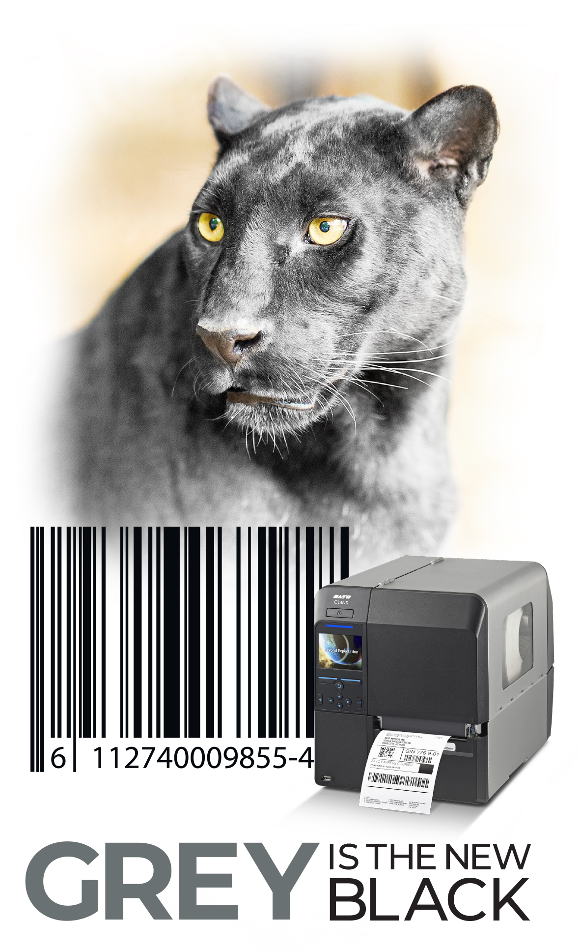 greypanther-web_header_new